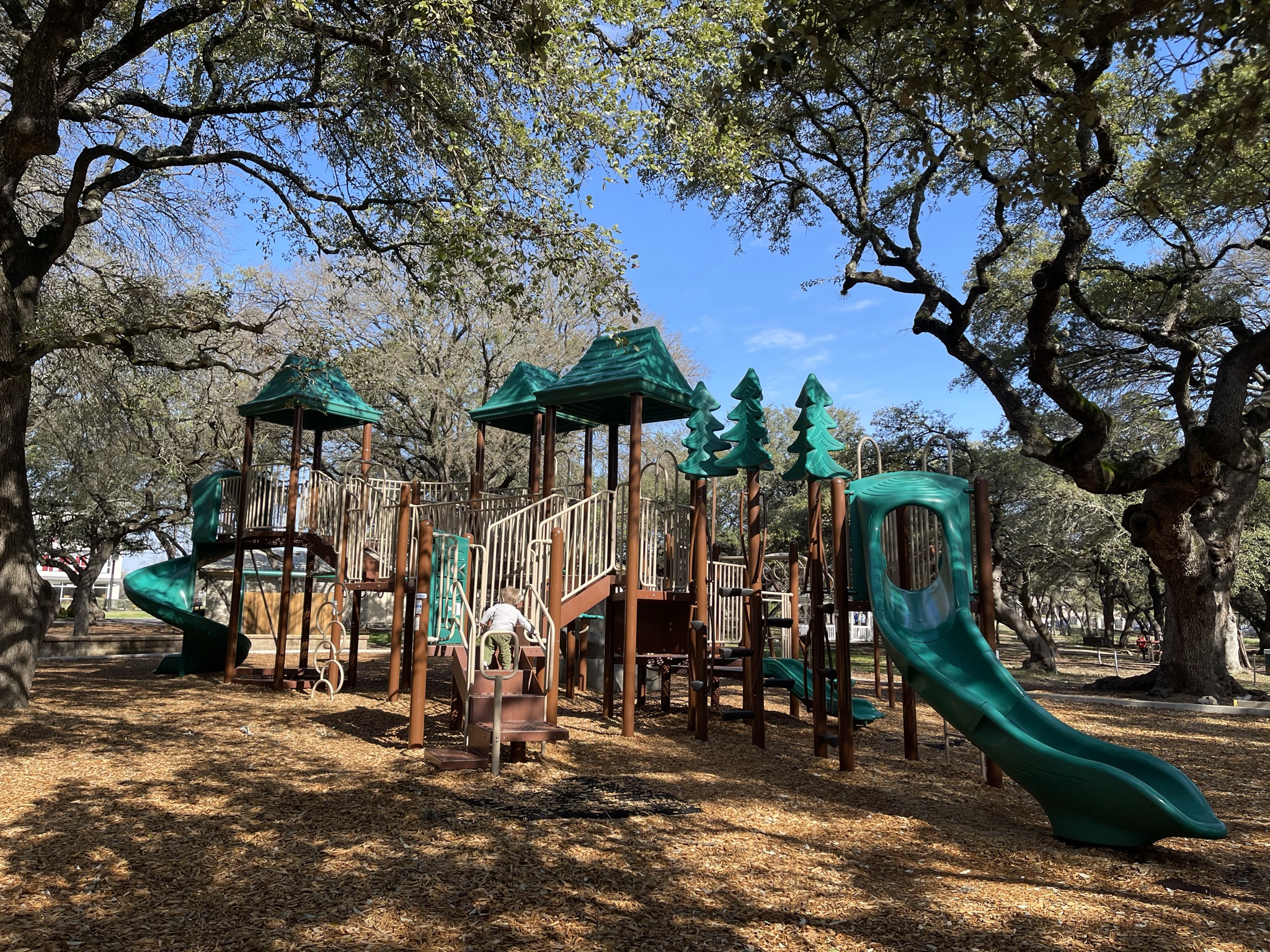Springwoods Park - Austin Active Kids