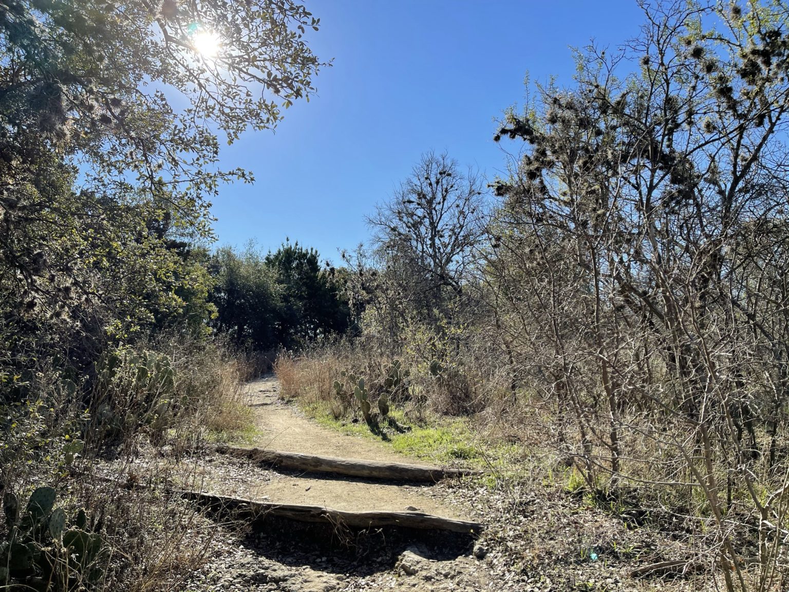 Blunn Creek Nature Preserve - Austin Active Kids