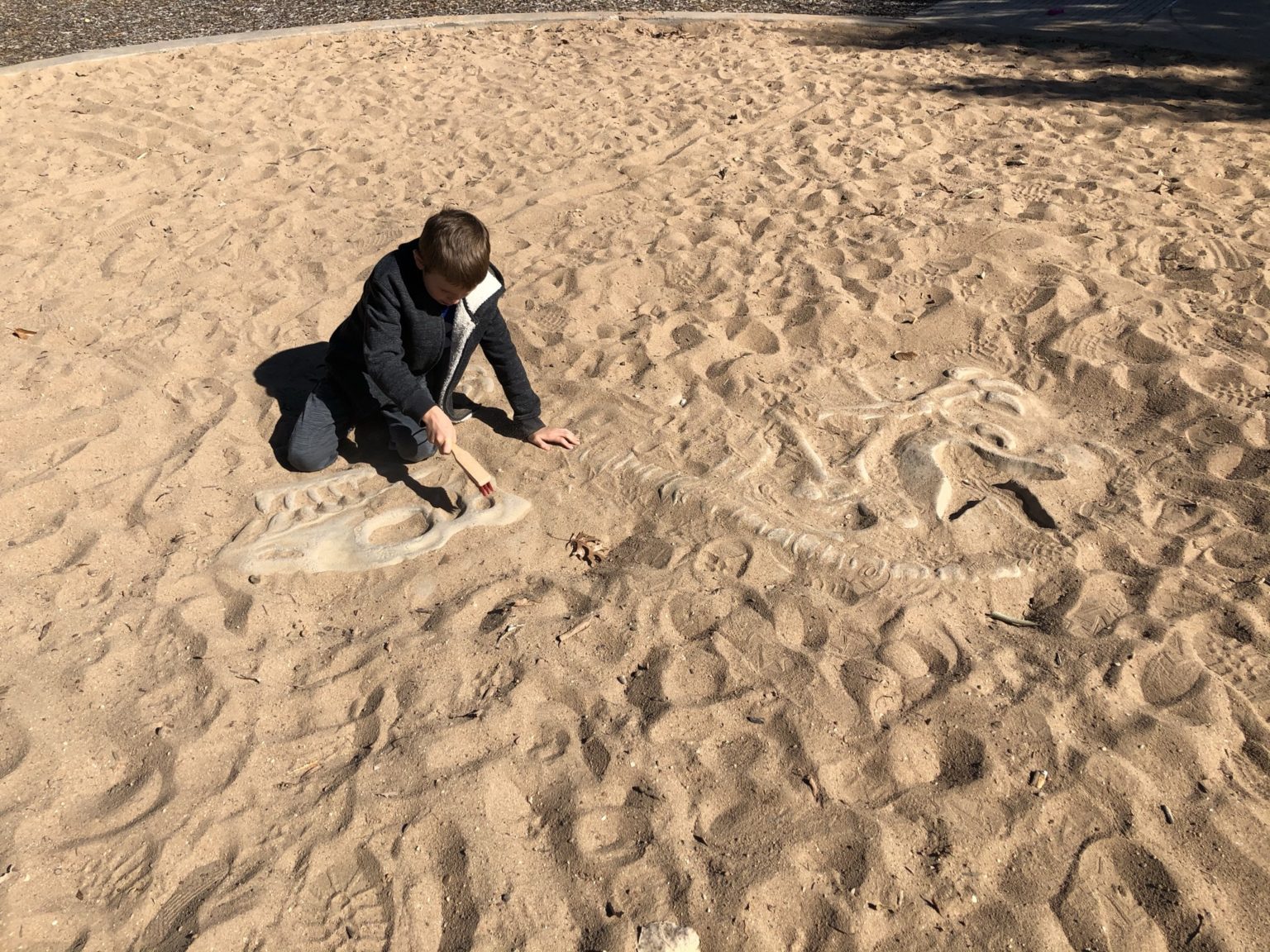 dinosaur bones for sandpit