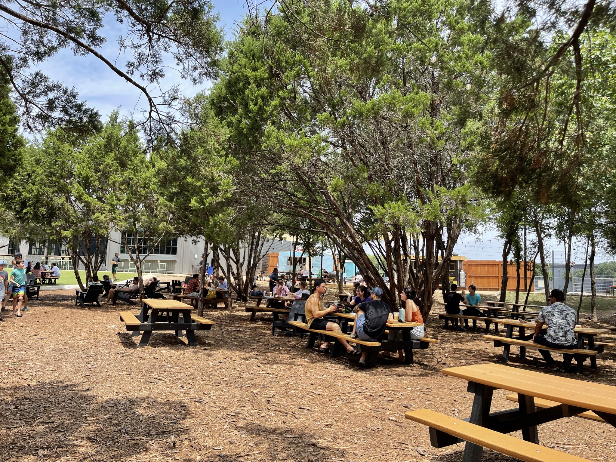 5 Reasons Why You Should Check Out Meanwhile Brewing - Austin Active Kids