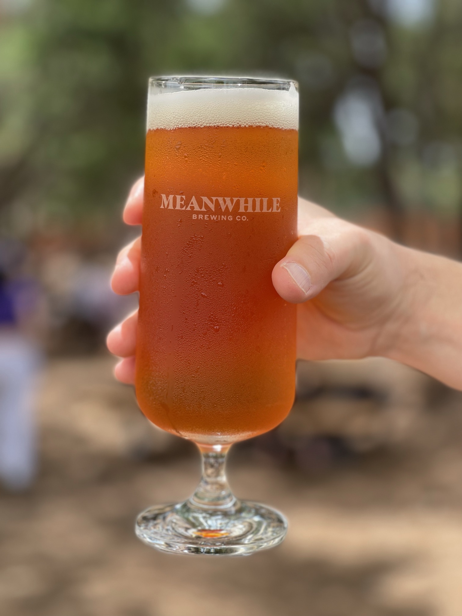 5 Reasons Why You Should Check Out Meanwhile Brewing - Austin Active Kids