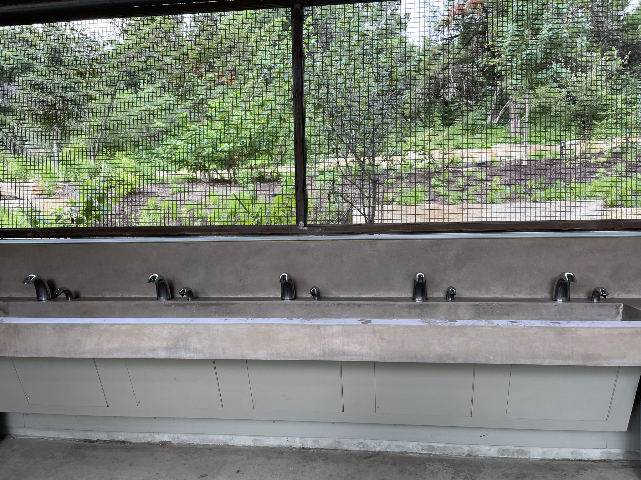 Kingsbury Commons at Pease Park Austin Active Kids