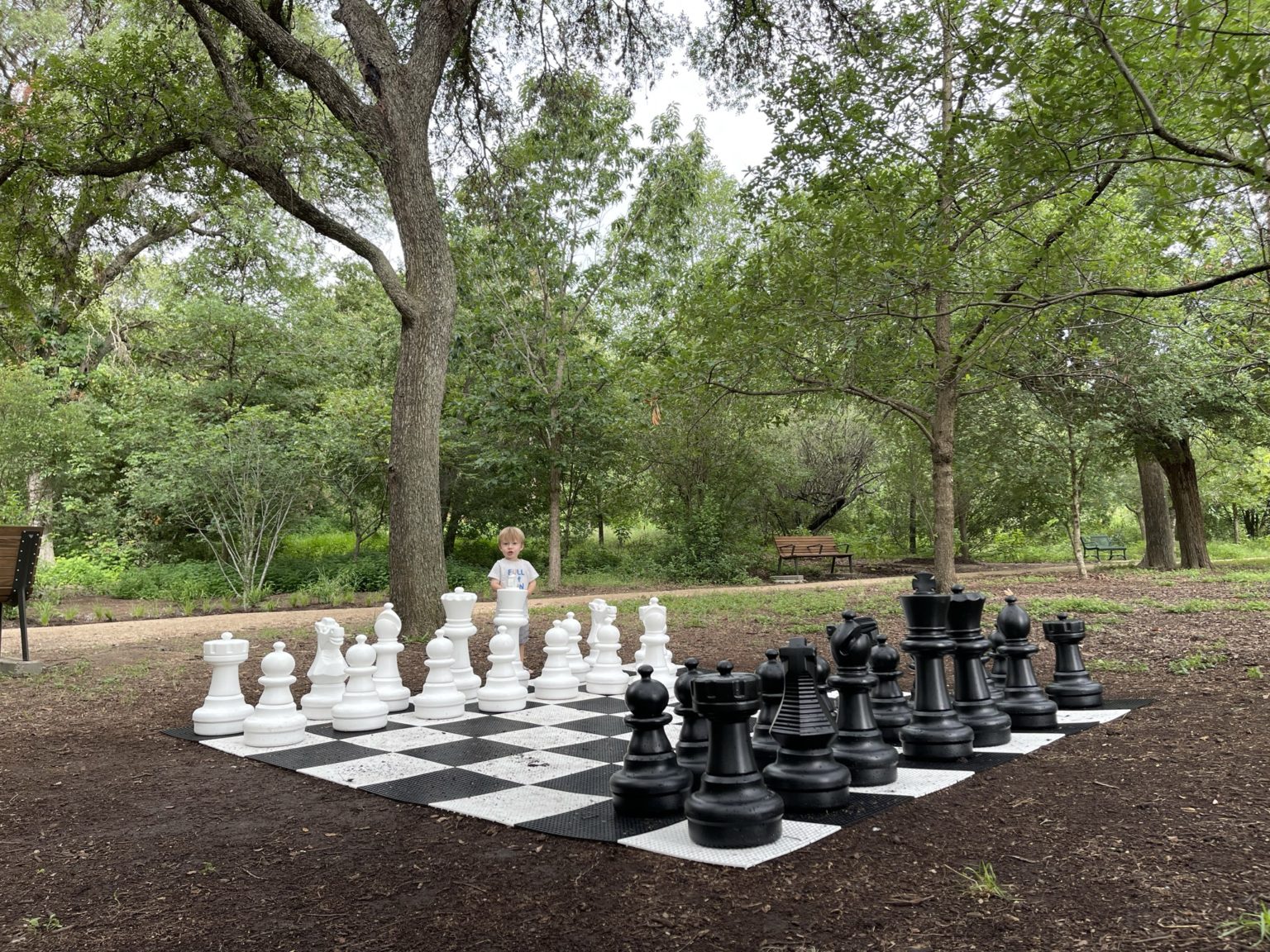 Kingsbury Commons at Pease Park Austin Active Kids