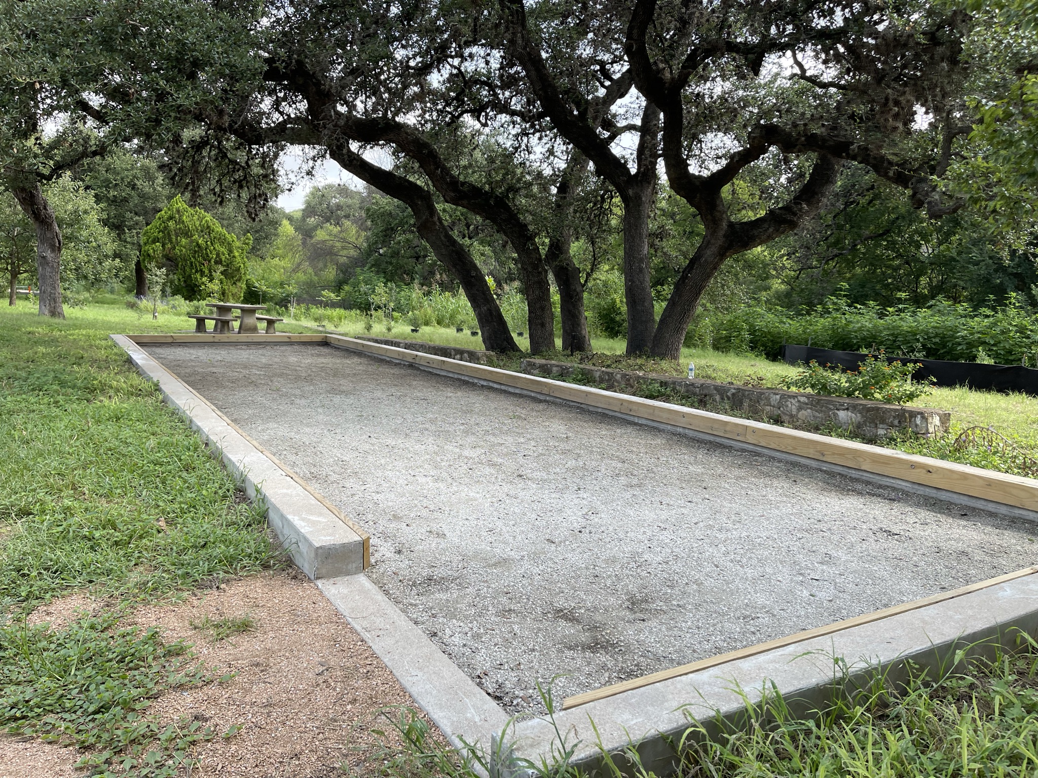 Kingsbury Commons at Pease Park Austin Active Kids